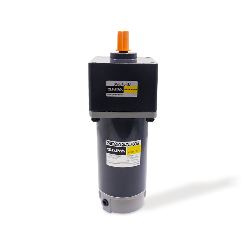 Motor de angrenaj DC de 250W cu perie DC